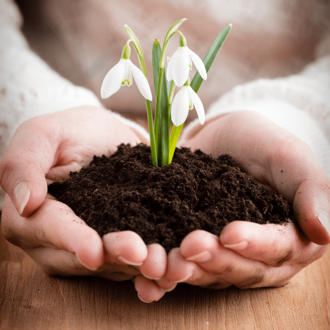 Erityisherkän jaksaminen työelämässä vireystilansäätelyn kautta